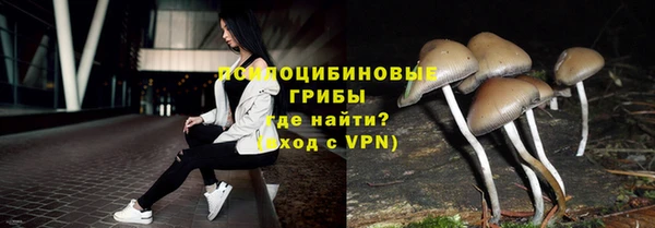 индика Ханты-Мансийск
