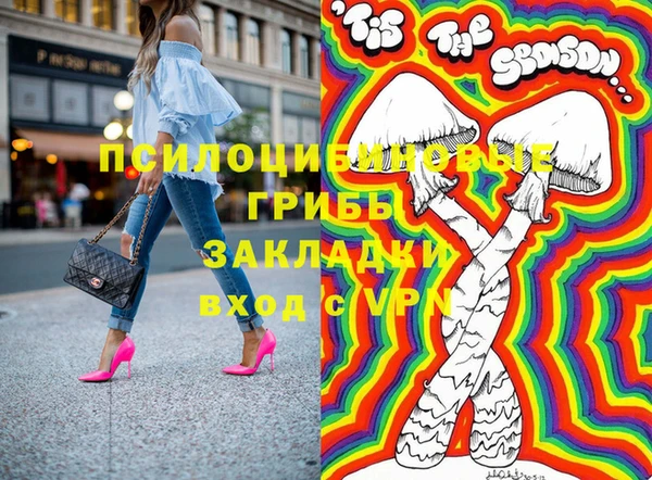 бошки Алзамай
